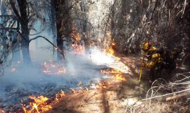 INCENDIOS EN CHUBUT: AGUARDAN A LAS LLUVIAS PARA SOFOCAR LAS LLAMAS