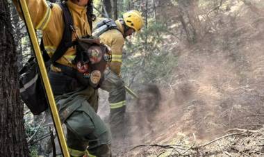 INVESTIGAN LA POSIBLE RESPONSABILIDAD PENAL DE FUNCIONARIOS POR EL INCENDIO EN LOS ALERCES