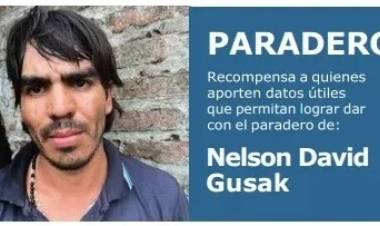 CASO GUSAK: REITERAN UNA RECOMPENSA DE $5 MILLONES PARA QUIEN APORTE DATOS SOBRE SU PARADERO