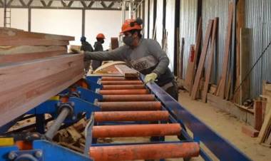 SEMANA CLAVE PARA EL SECTOR QUE SE PIERDE DE GENERAR 30.000 MILLONES DE PESOS MENSUALES