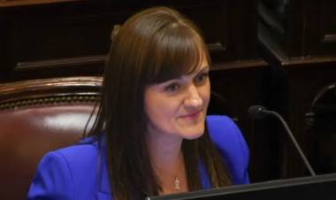 POSTURAS DIVERSAS DE LOS SENADORES DEL CHACO QUE VOTARÁN EL PROYECTO