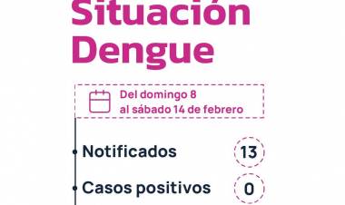 PARTE SEMANAL SOBRE DENGUE: NINGÚN CASO POSITIVO