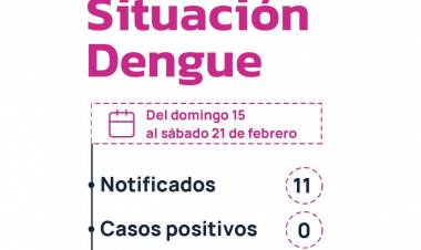 CHACO SIN DENGUE: NO SE REGISTRARON CASOS POSITIVOS, NI PROBABLES EN LA ÚLTIMA SEMANA
