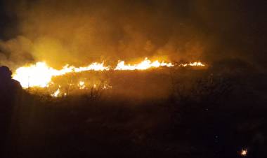 BOMBEROS CONTROLARON INCENDIO DE GRAN MAGNITUD SOBRE RUTA 11