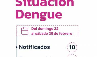 CHACO SIN DENGUE: REFUERZAN LA PREVENCIÓN EN TODA LA PROVINCIA