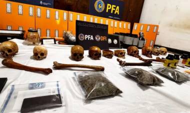 UN CULTIVADOR DE MARIHUANA ESCONDÍA UNA COLECCIÓN DE CRÁNEOS HUMANOS