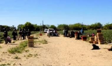 TRABAJADORES RURALES CHAQUEÑOS ERAN OBLIGADOS A BAÑARSE EN EL MONTE Y BEBER DE ENVASES DE AGROQUÍMICOS