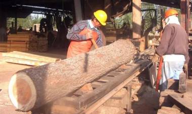 ENTRE EL DIÁLOGO Y LA INCERTIDUMBRE: EL SECTOR FORESTAL CHAQUEÑO BUSCA REACTIVARSE