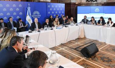 SENADO REANUDA EL DEBATE POR LA INVIOLABILIDAD DE LA PROPIEDAD PRIVADA CON INVITADOS DEL PERONISMO