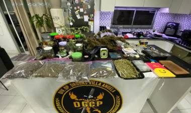 DU GRATY: INCAUTARON 60 PLANTAS DE CANNABIS Y CASI 1 KG DE MARIHUANA DE DOS VIVIENDAS