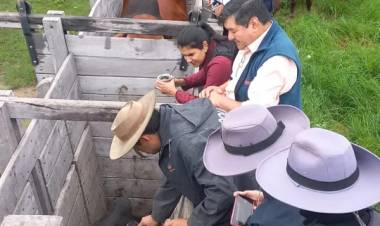 MEGAOPERATIVO POLICIAL PERMITIÓ RECUPERAR 62 ANIMALES