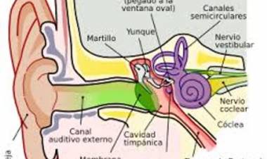 MÉDICOS CHINOS REALIZAN CON ÉXITO UNA CIRUGÍA DE REPARACIÓN DEL TÍMPANO EN NÍGER