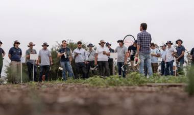ADIÓS A LA ARGENTINA: UNA GIGANTE ALEMANA DEL AGRO DEJA EL PAÍS TRAS DOS DÉCADAS