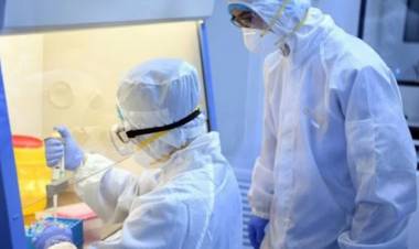 LA OMS DICE QUE EL RIESGO DE LA ACTUAL EPIDEMIA DE ÉBOLA ES “BAJO” A NIVEL GLOBAL
