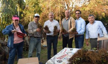 ÑANDE ACOMPAÑA A PRODUCTORES DE FRUTILLAS CON INSUMOS Y APOYO DIRECTO