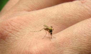 HUBO UN DESCENSO PROGRESIVO EN LOS CASOS DE FIEBRE CHIKUNGUNYA