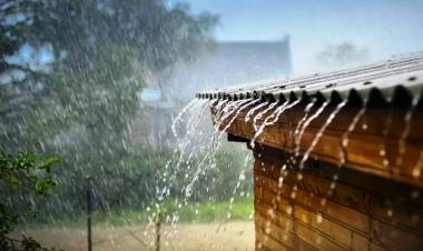 LA PROVINCIA ARGENTINA DONDE MAS LLUEVE: CÓMO ES VIVIR EN EL LUGAR MAS HÚMEDO DEL PAÍS