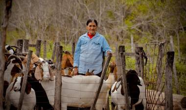 PROGANO: EL IMPULSO QUE DEVUELVE OPORTUNIDADES A LOS PRODUCTORES DE EL IMPENETRABLE