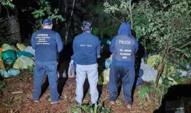 GOLPE AL NARCOTRÁFICO: SECUESTRARON CASI SEIS TONELADAS DE MARIHUANA