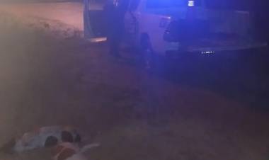 "SÍ, YO LOS MATÉ": DETUVIERON A UN HOMBRE TRAS CONFESAR QUE AHORCÓ Y GOLPEÓ HASTA LA MUERTE A SUS DOS PERROS