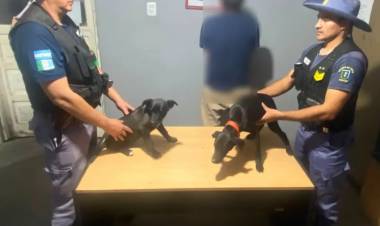 VILLA ÁNGELA VILLA ÁNGELA: DETUVIERON A UN HOMBRE POR PRESUNTO MALTRATO ANIMAL Y RESCATARON DOS CACHORRAS