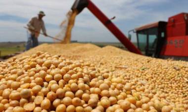 PESE A LA COSECHA RÉCORD, EL CAMPO LIQUIDÓ MENOS: LOS DETALLES DEL INFORME