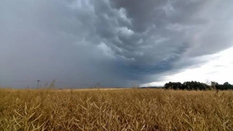 LA ONU ADVIRTIÓ QUE EL NIÑO SE INTENSIFICA Y PREVÉ UN GRAN IMPACTO EN LA ARGENTINA