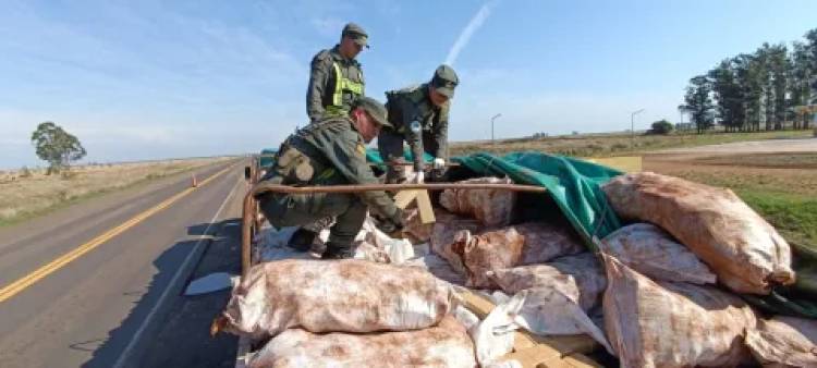 GENDARMERÍA DEMORÓ A UN CAMIÓN QUE LLEVABA 6 TONELADAS DE DROGA EN UN CARGAMENTO DE MANDIOCA