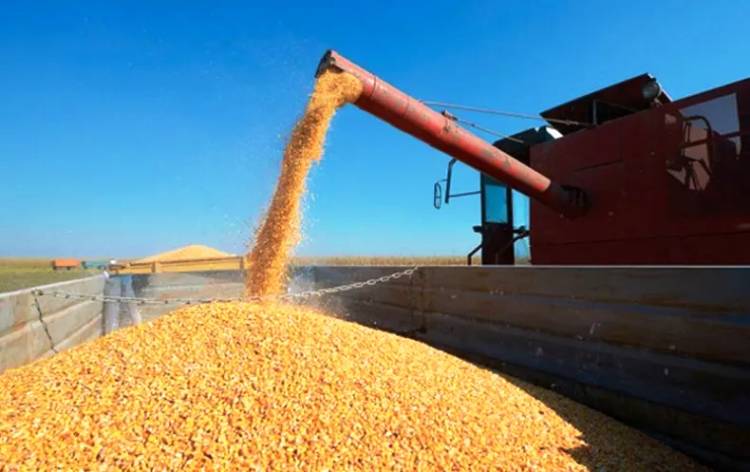 TRACCIONADAS POR LOS PRODUCTOS PRIMARIOS, LAS EXPORTACIONES CRECIERON UN 65,1%
