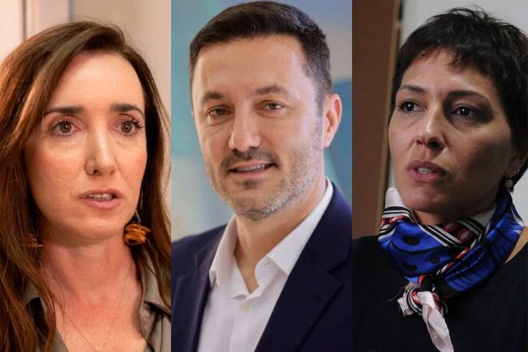 UN TEMBLADERAL EN LA POLÍTICA