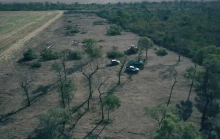 CAUTELAR PONE FRENO A DESMONTES EN EL CHACO POR NOVENTA DÍAS