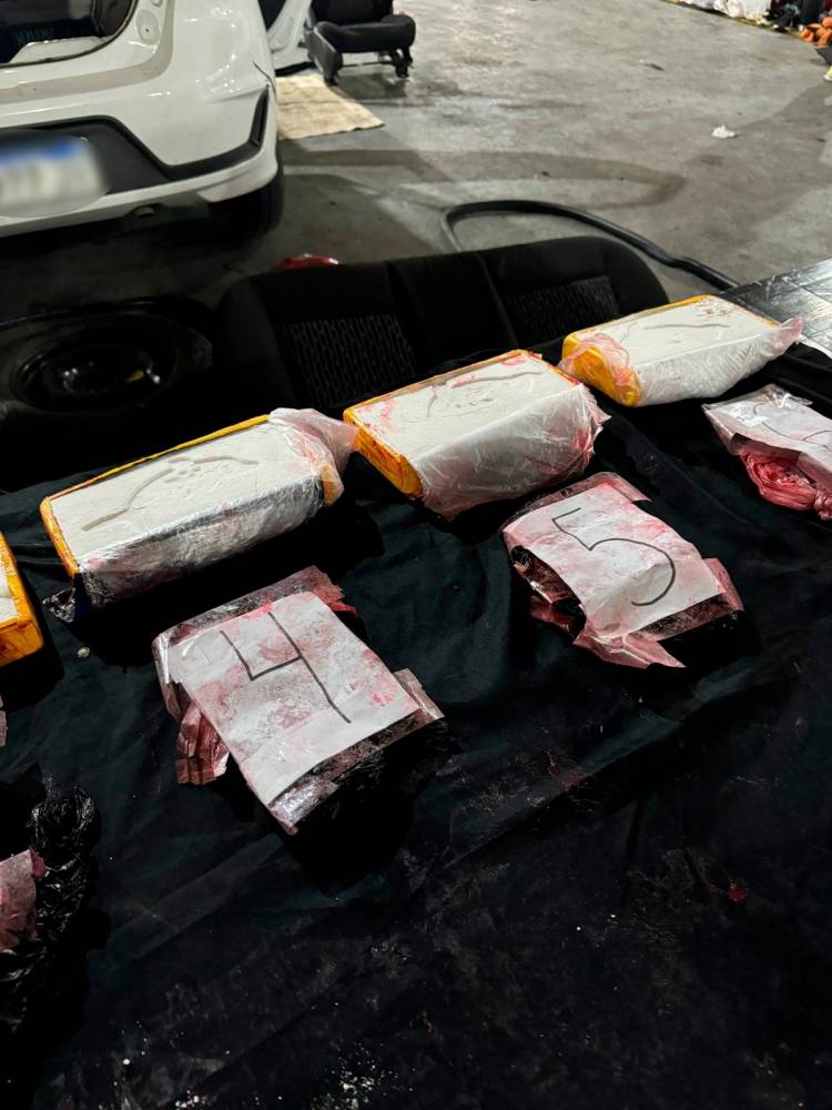 CON SEIS PANES DE COCAÍNA DETUVIERON A UNA DIRIGENTE SOCIAL