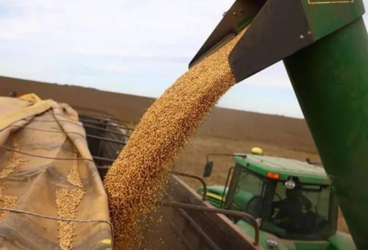 CAÍDA DEL PRECIO DE LA SOJA YA LE COSTÓ AL PAÍS MÁS DE USD 1700 MILLONES