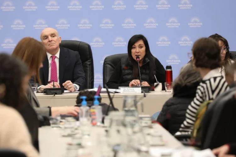 EN DIPUTADOS, FUNCIONARIOS Y ESPECIALISTAS CUESTIONARON EL PROYECTO DE BAJA DE LA EDAD DE IMPUTABILIDAD