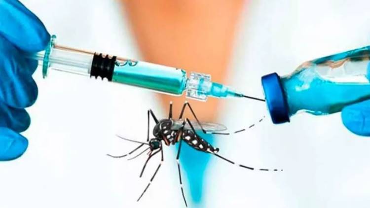DENGUE EN CHACO: HUBO MÁS DE 22 MIL CASOS EN EL AÑO Y LA APLICACIÓN DE LA VACUNA INICIA EN SEPTIEMBRE