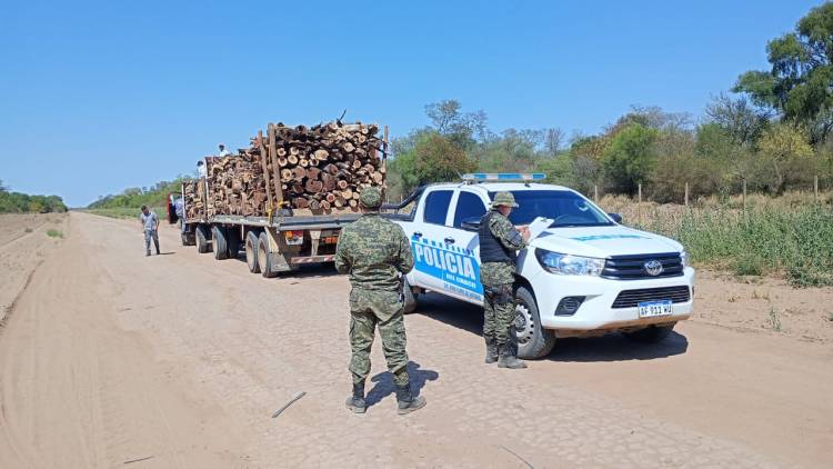 DECOMISAN UNA CARGA DE 18 TONELADAS DE LEÑA POR NO CONTAR CON LA GUÍA DE TRANSPORTE