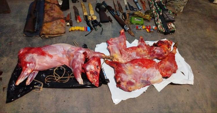 VILLA ANGELA: RURALES SECUESTRARON ARMAS DE FUEGO Y 40 KILOS DE CARNE FAENADA