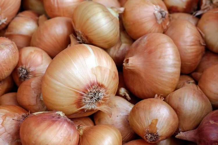 DEL PRODUCTOR AL CONSUMIDOR