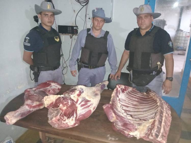 TRANSPORTABA MÁS DE 60 KILOS DE CARNE NO APTA PARA CONSUMO