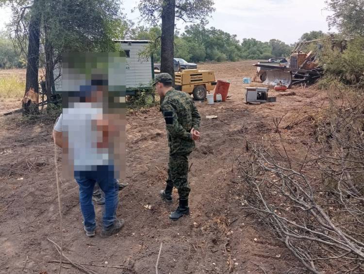 RURALES FRENAN DESMONTE ILEGAL