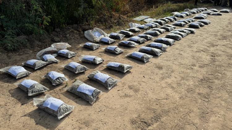 NUEVO GOLPE AL NARCOTRÁFICO: SE INCAUTÓ MÁS DE 50 KILOS DE MARIHUANA EN PARAJE PINDÓ