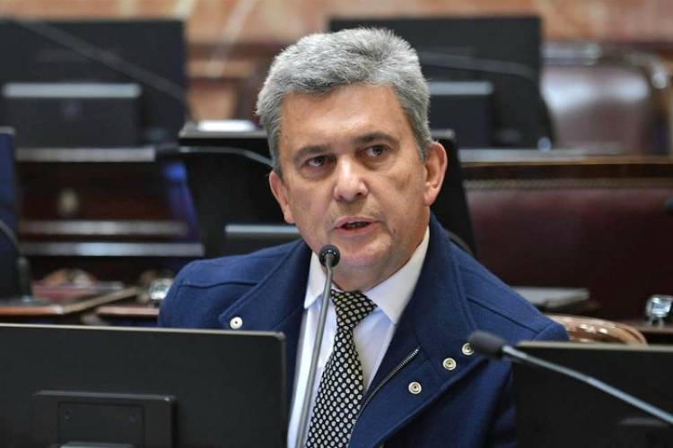 EL OFICIALISMO RECUPERA UN ALIADO CLAVE EN EL SENADO