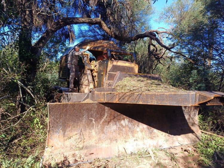 PRIMEROS RESULTADOS DE LAS CAMIONETAS CON CONECTIVIDAD SATELITAL: SE FRENÓ UN DESMONTE ILEGAL CERCA DE LOS FRENTONES
