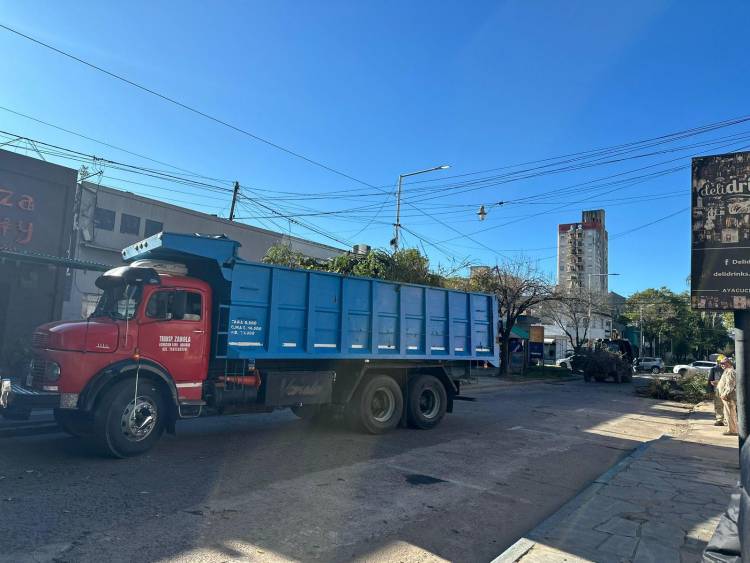 SECHEEP REFUERZA EL ALUMBRADO PÚBLICO CON TAREAS DE PODA RESPONSABLE EN EL CENTRO Y BARRIOS DEL GRAN RESISTENCIA