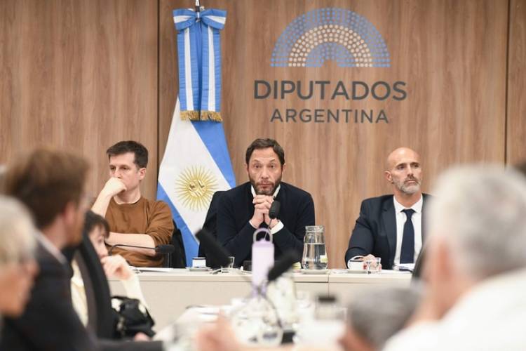 LA COMISIÓN INVESTIGADORA DE $LIBRA QUIERE ESCUCHAR A LOS HERMANOS MILEI