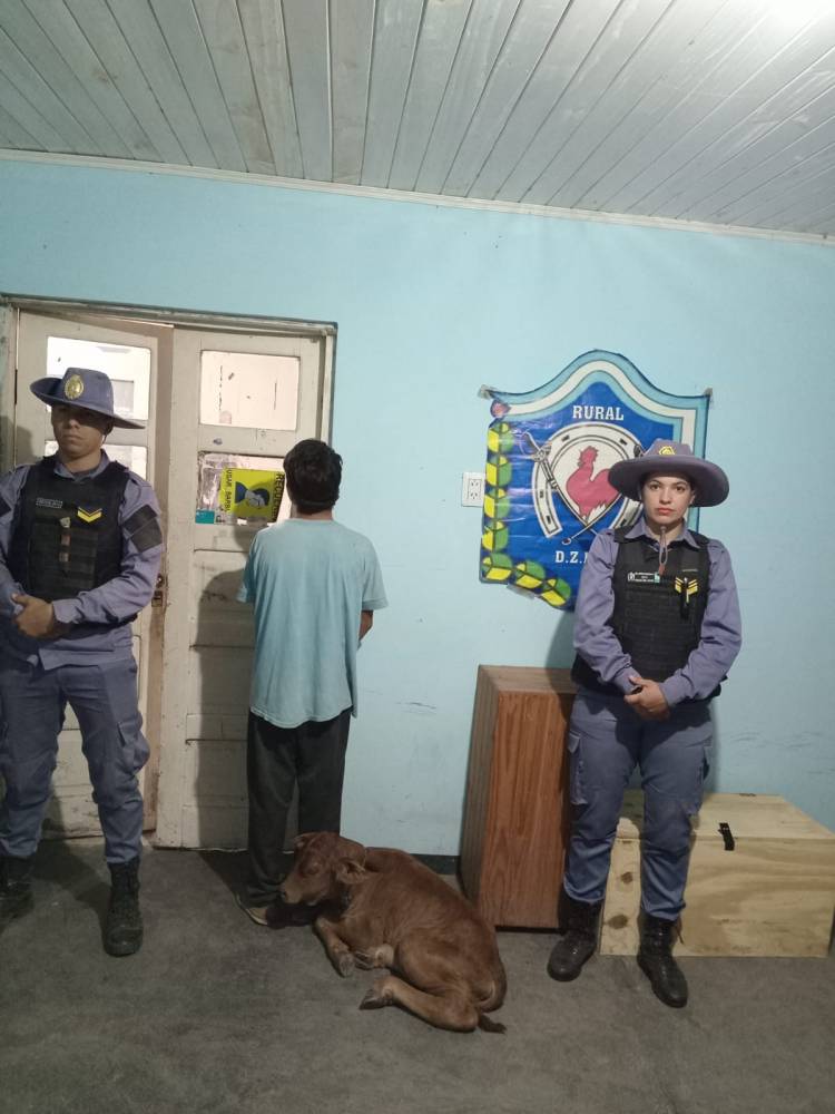 VILLA ÁNGELA: DETUVIERON A UN JOVEN POR EL ROBO DE UN TERNERO 