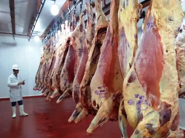 JULIO AUGUSTO: "VAMOS CAMINO A COMER CARNE ROJA UNA VEZ POR SEMANA"