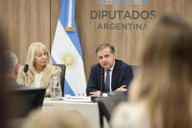 INTENDENTES RECLAMARON EN DIPUTADOS UNA REDUCCIÓN DEL IVA PARA COMPRAS Y CONTRATACIONES DE MUNICIPIOS