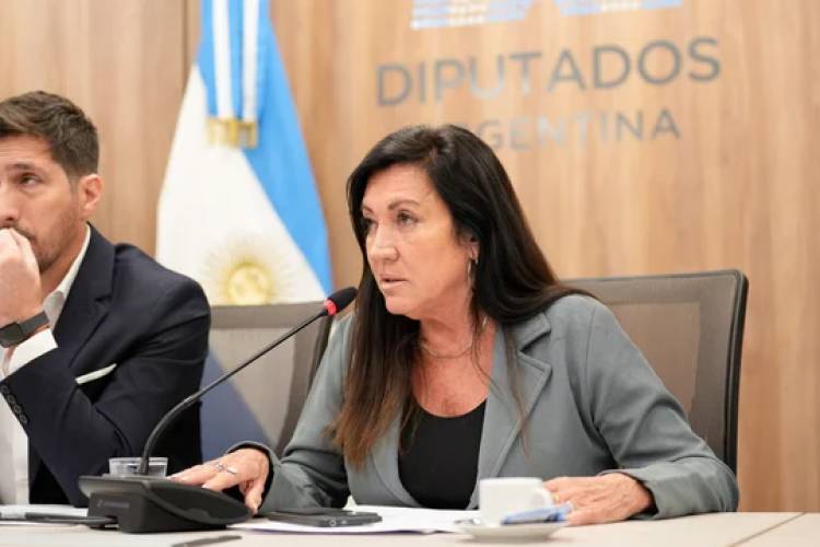 INOCENCIA FISCAL: EL OFICIALISMO BUSCA DICTAMINAR ESTE MARTES Y VOTAR EL PROYECTO EL MIÉRCOLES