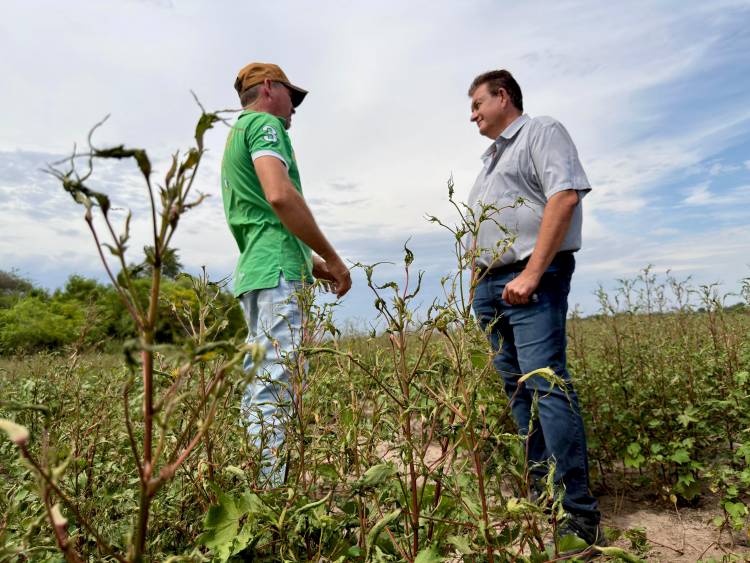 LAS BREÑAS: EL GOBIERNO PROVINCIAL ENDURECE CONTROLES CONTRA EL USO DE HERBICIDAS PROHIBIDOS